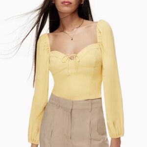 Wilfred Aritzia Novella Smocked Back Blouse